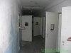 p1130009