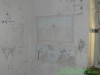 p1130015